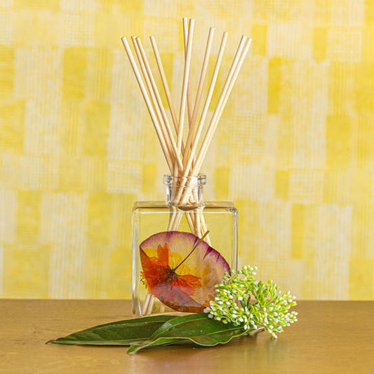 Accent Reed Diffuser - Sugared Citrus