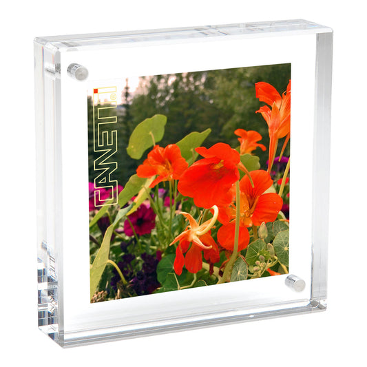 Magnet Collection Frame Gifts - Photo Frames – Paper + More