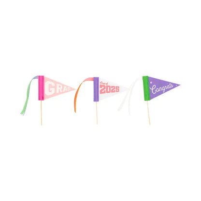 Mini Felt Pennant Set - Pink Graduation