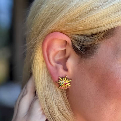 Stud Earrings - Bianca Colorful Starburst
