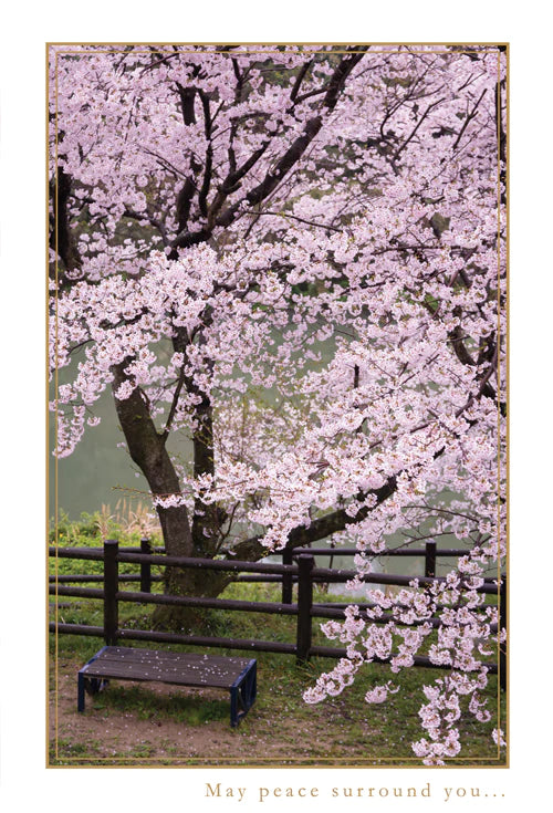 Sympathy Card May Peace Surround You
