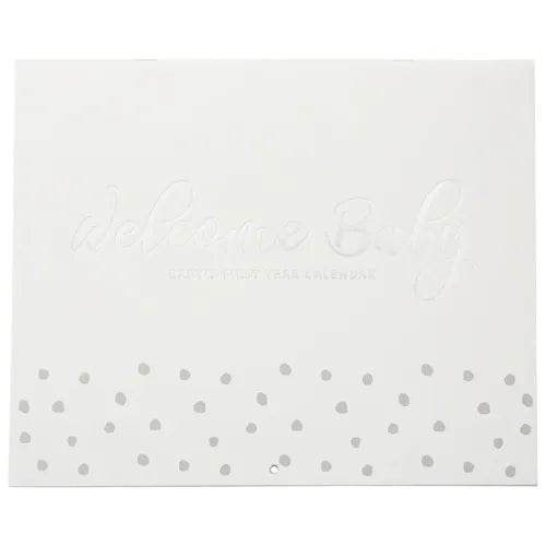 Welcome Baby First Year Calendar
