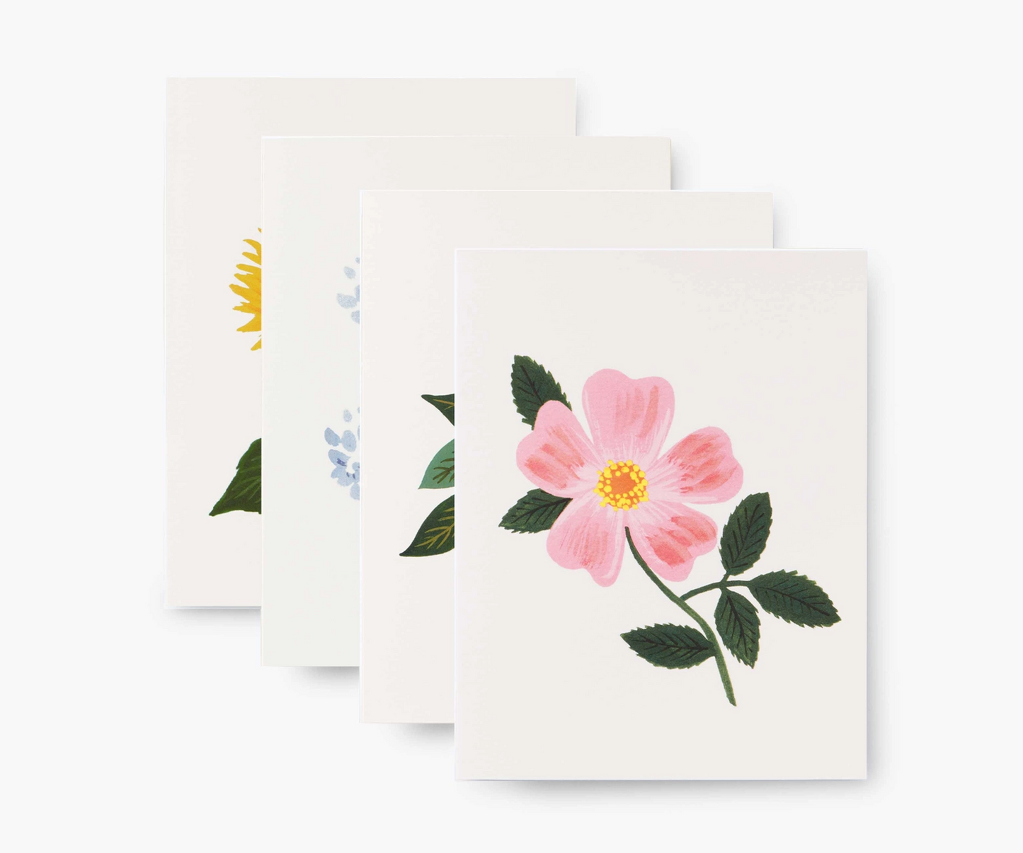 Boxed Set - Botanical Blossom Assorted
